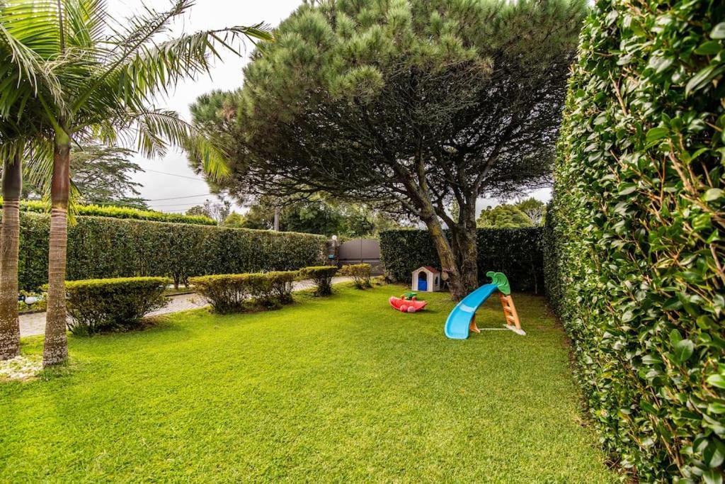 Apartamento Do Pinheiro São Vicente Ferreira Exteriér fotografie